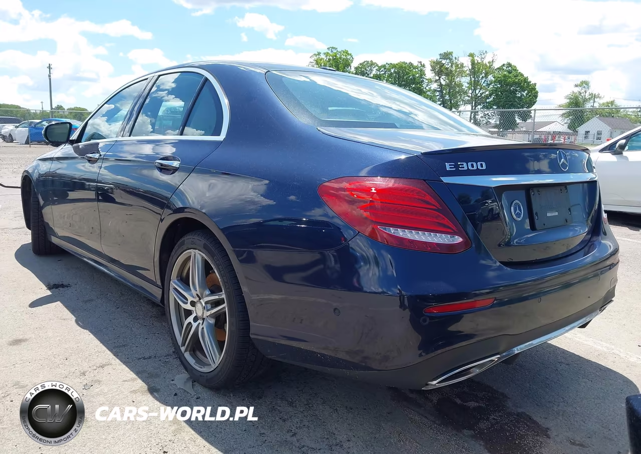2017 Mercedes-Benz E 300 4Matic VIN:WDDZF4KB7HA031821 - 3