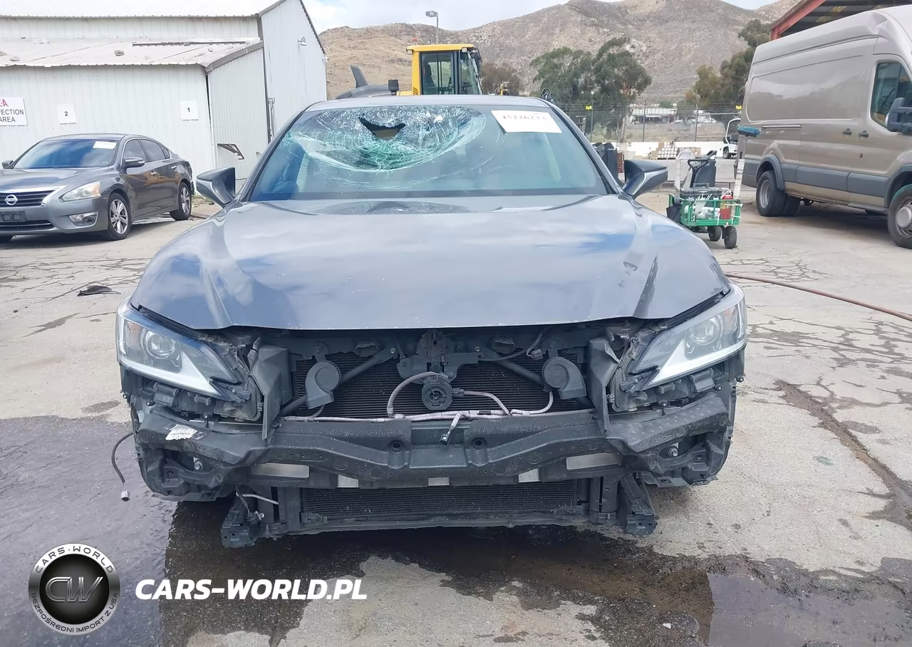 2019 Lexus Es 300H VIN:JTHB21B1XK2004366 - 13