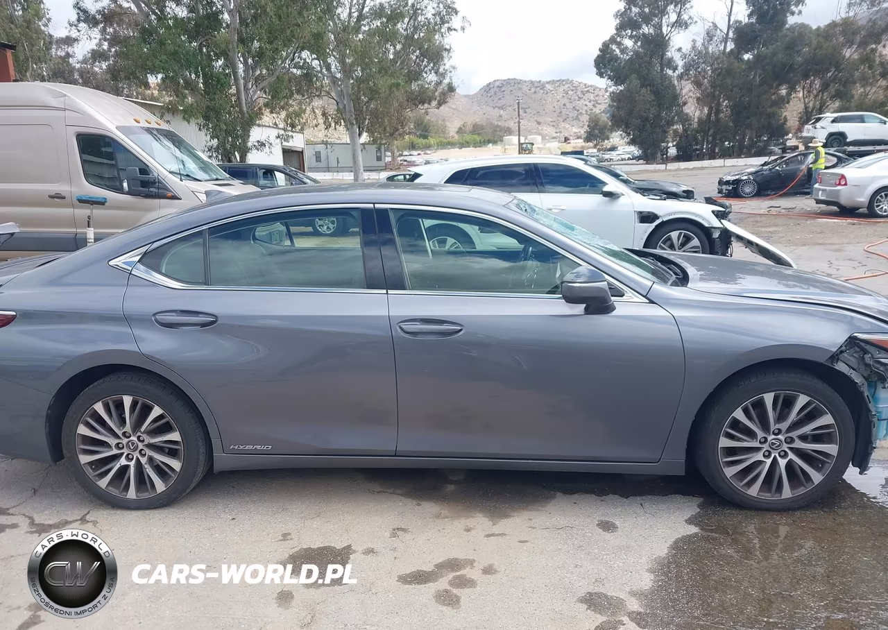 2019 Lexus Es 300H VIN:JTHB21B1XK2004366 - 14