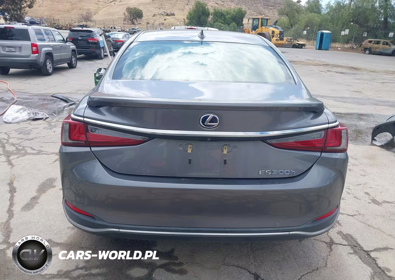 2019 Lexus Es 300H VIN:JTHB21B1XK2004366 - 17