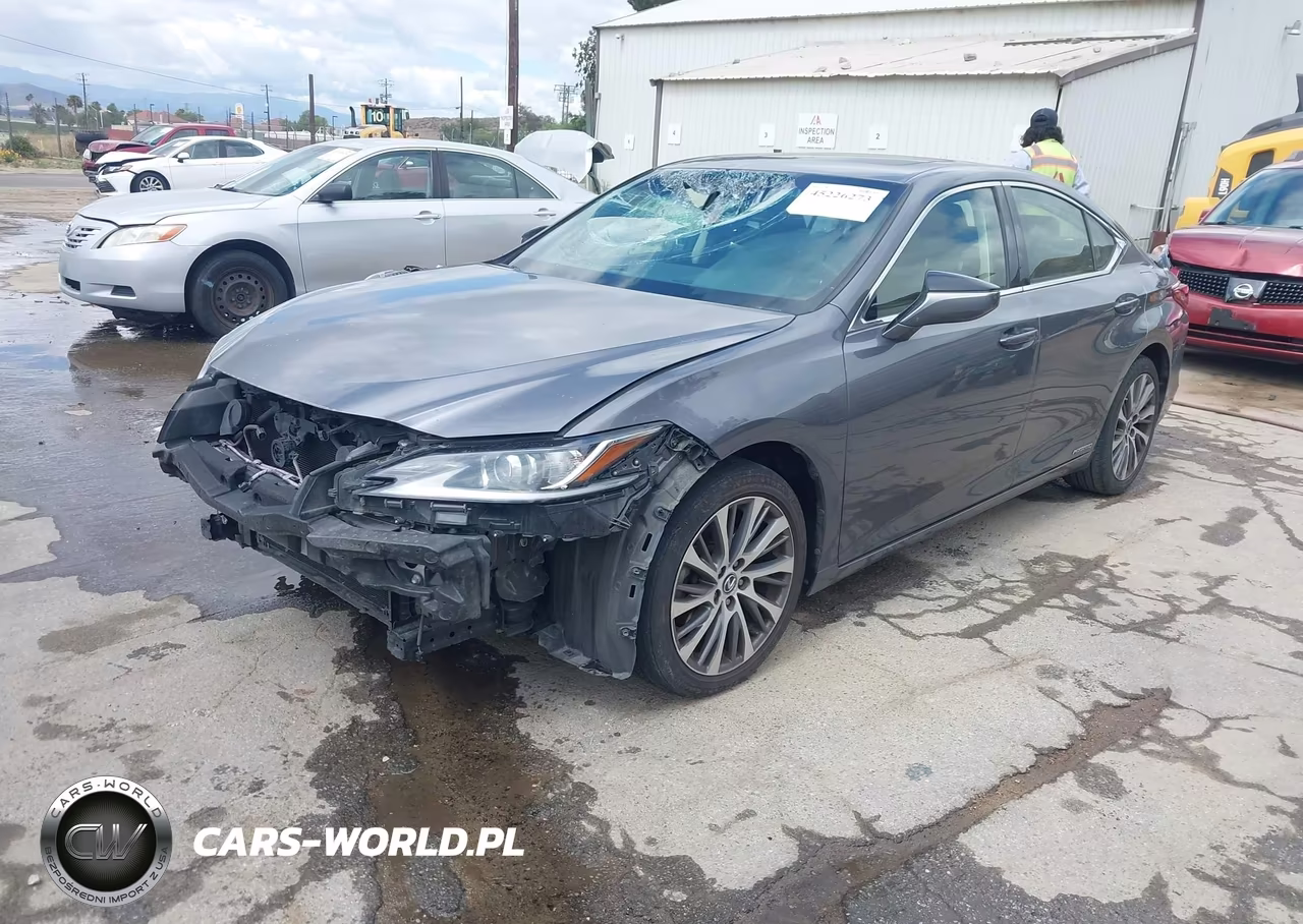 2019 Lexus Es 300H VIN:JTHB21B1XK2004366 - 2