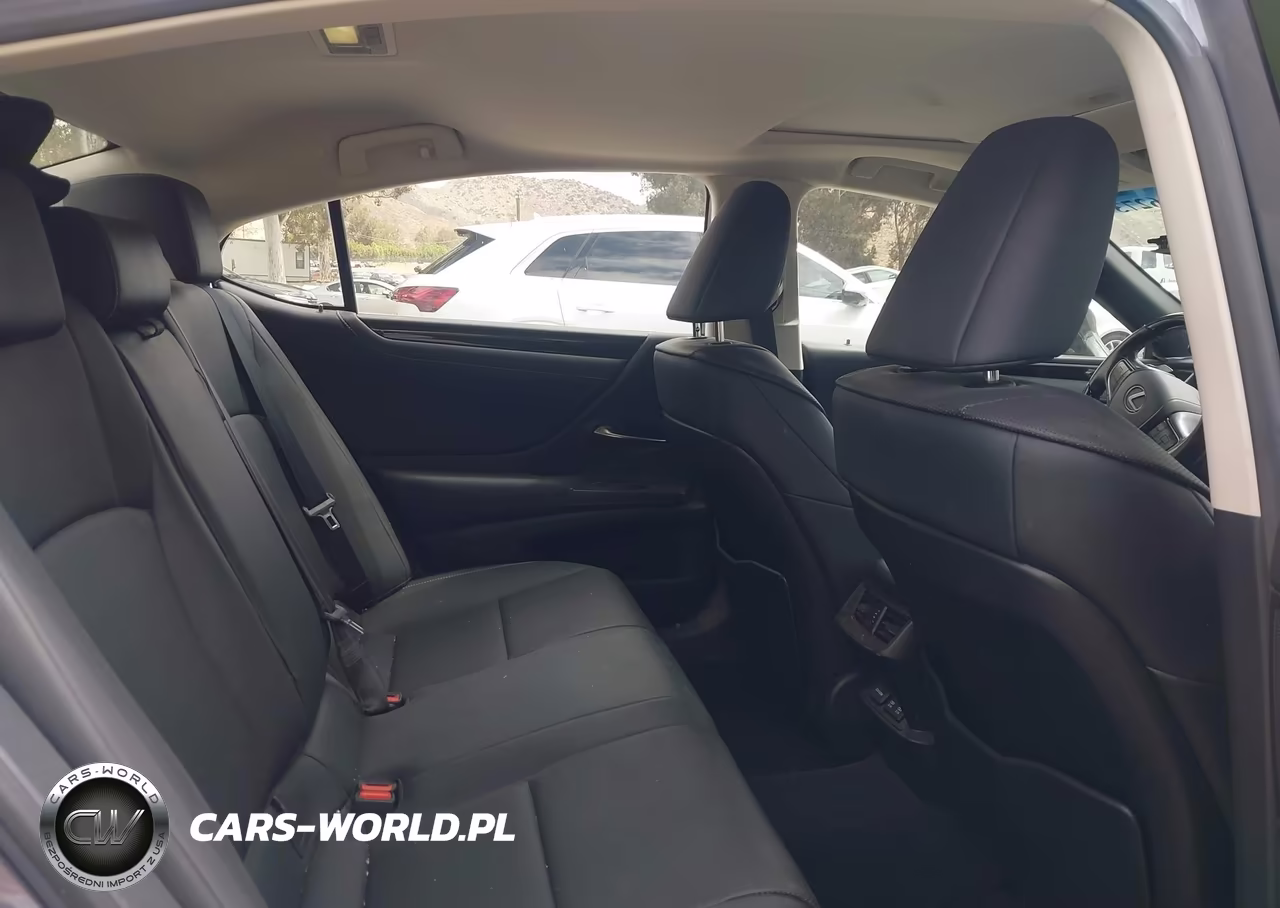 2019 Lexus Es 300H VIN:JTHB21B1XK2004366 - 8