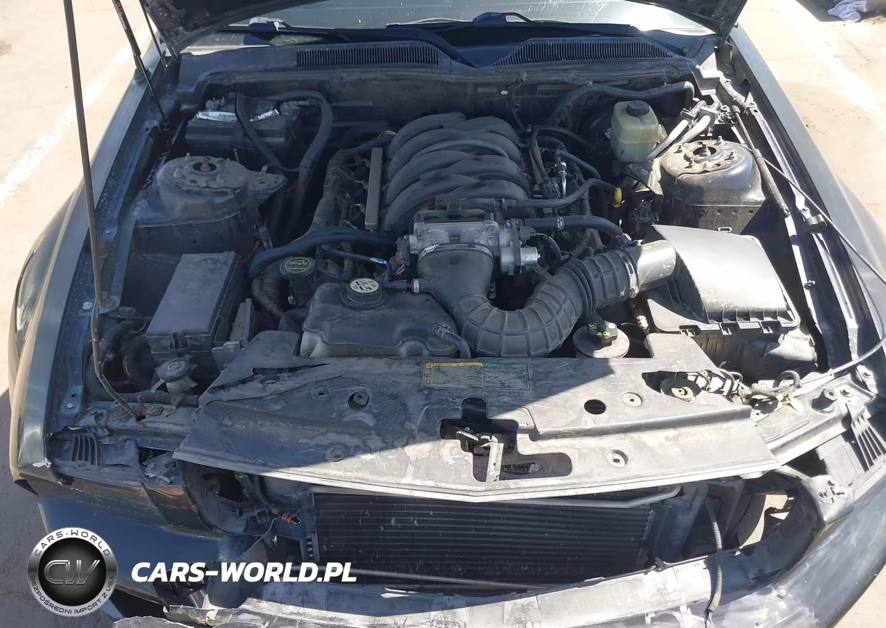 2006 Ford Mustang Gt VIN:1ZVFT82H865169954 - 10