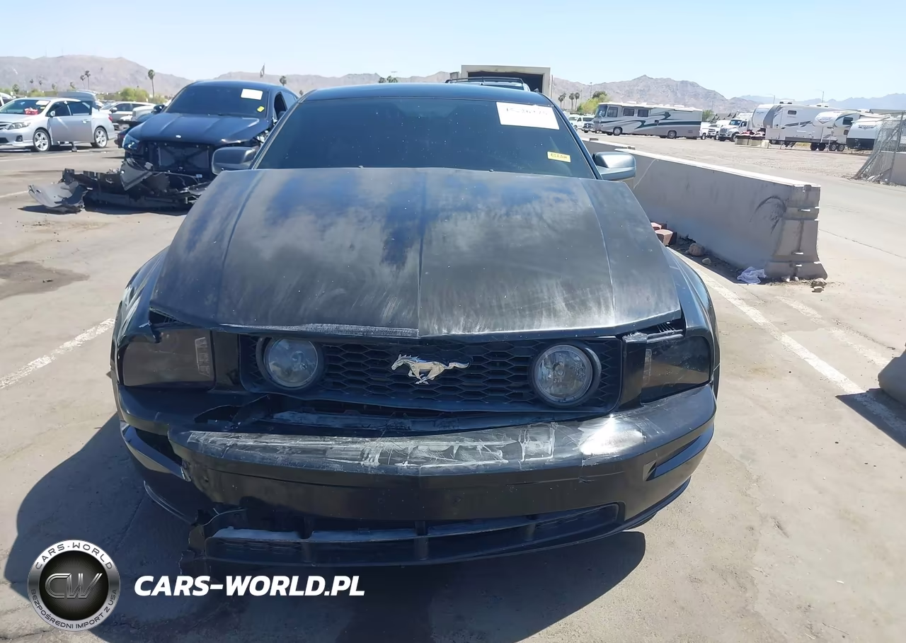 2006 Ford Mustang Gt VIN:1ZVFT82H865169954 - 13