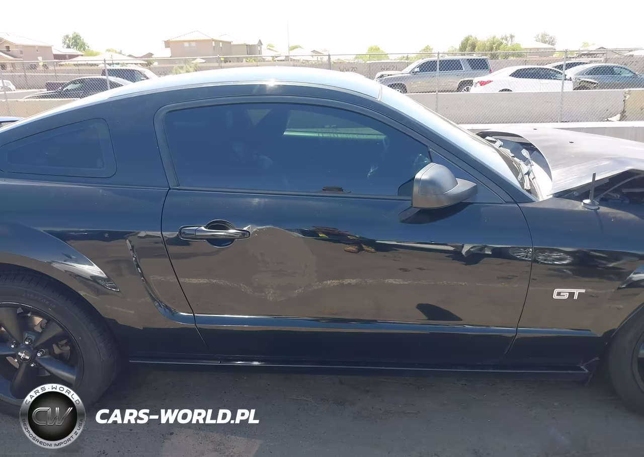 2006 Ford Mustang Gt VIN:1ZVFT82H865169954 - 14