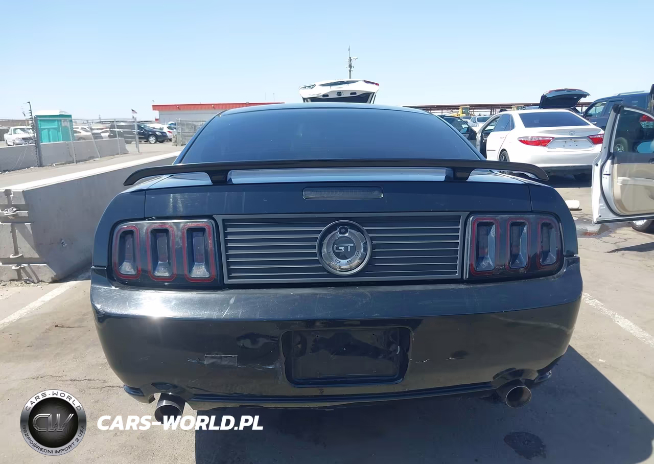 2006 Ford Mustang Gt VIN:1ZVFT82H865169954 - 17
