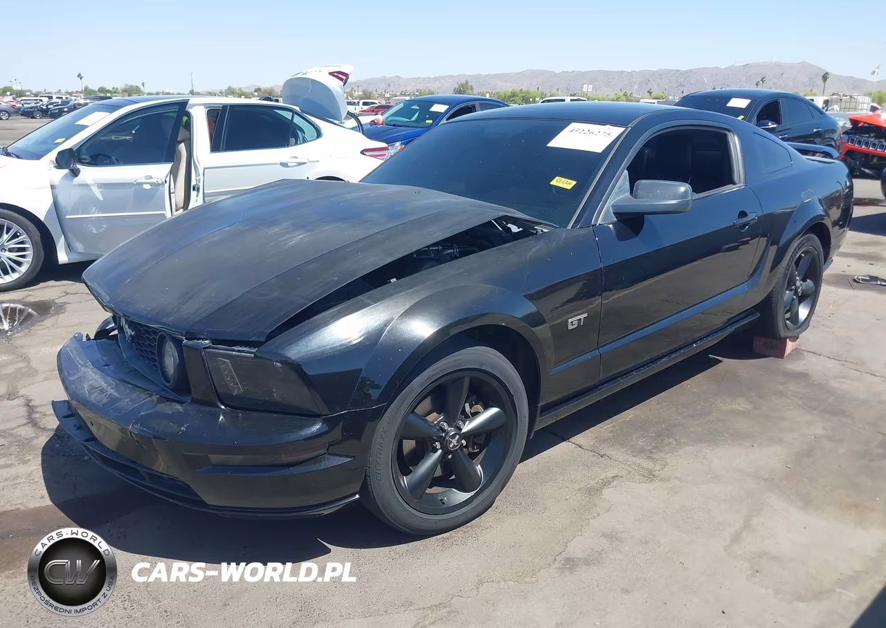 2006 Ford Mustang Gt VIN:1ZVFT82H865169954 - 2