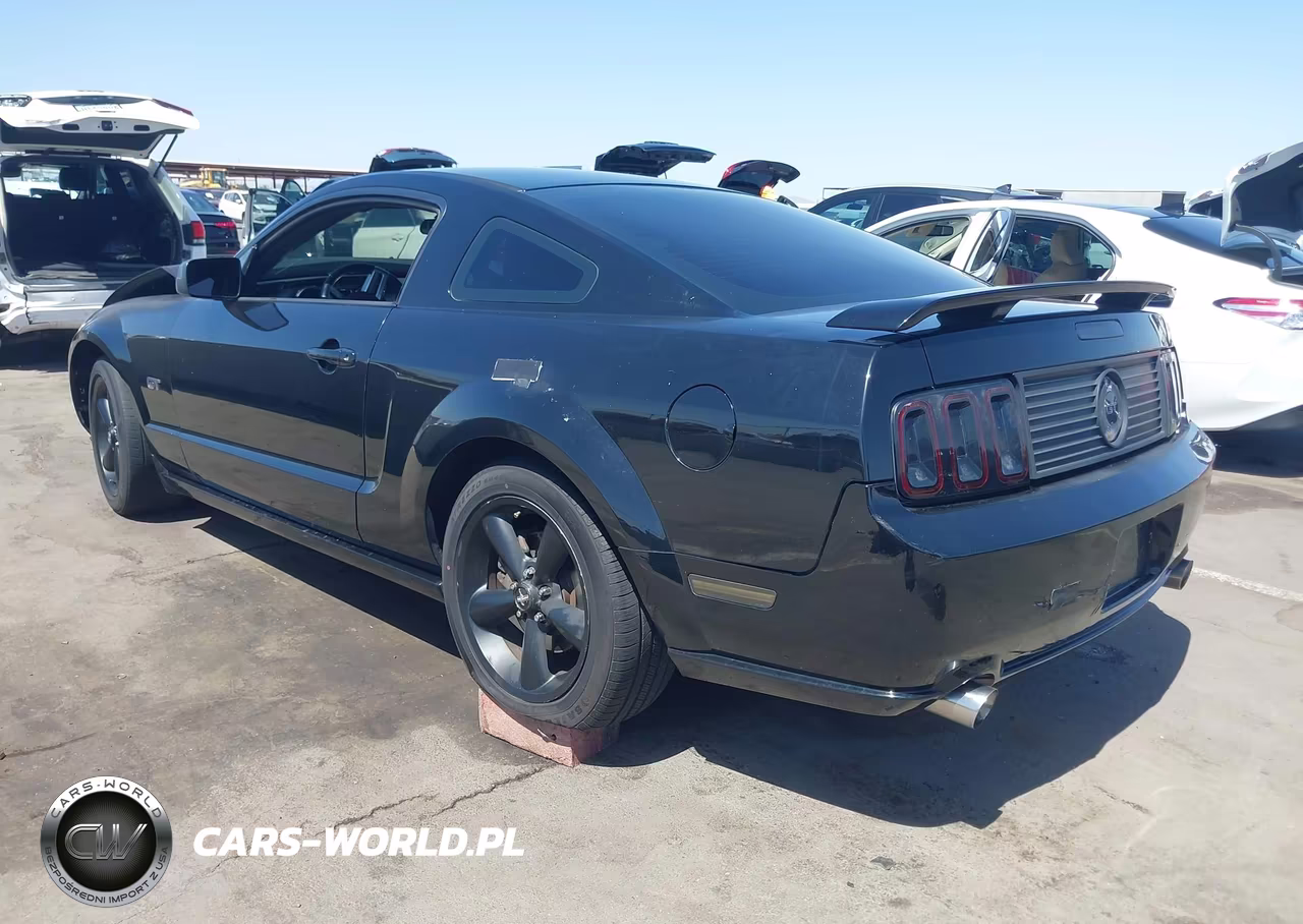 2006 Ford Mustang Gt VIN:1ZVFT82H865169954 - 3