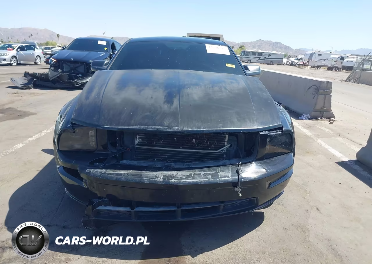 2006 Ford Mustang Gt VIN:1ZVFT82H865169954 - 6