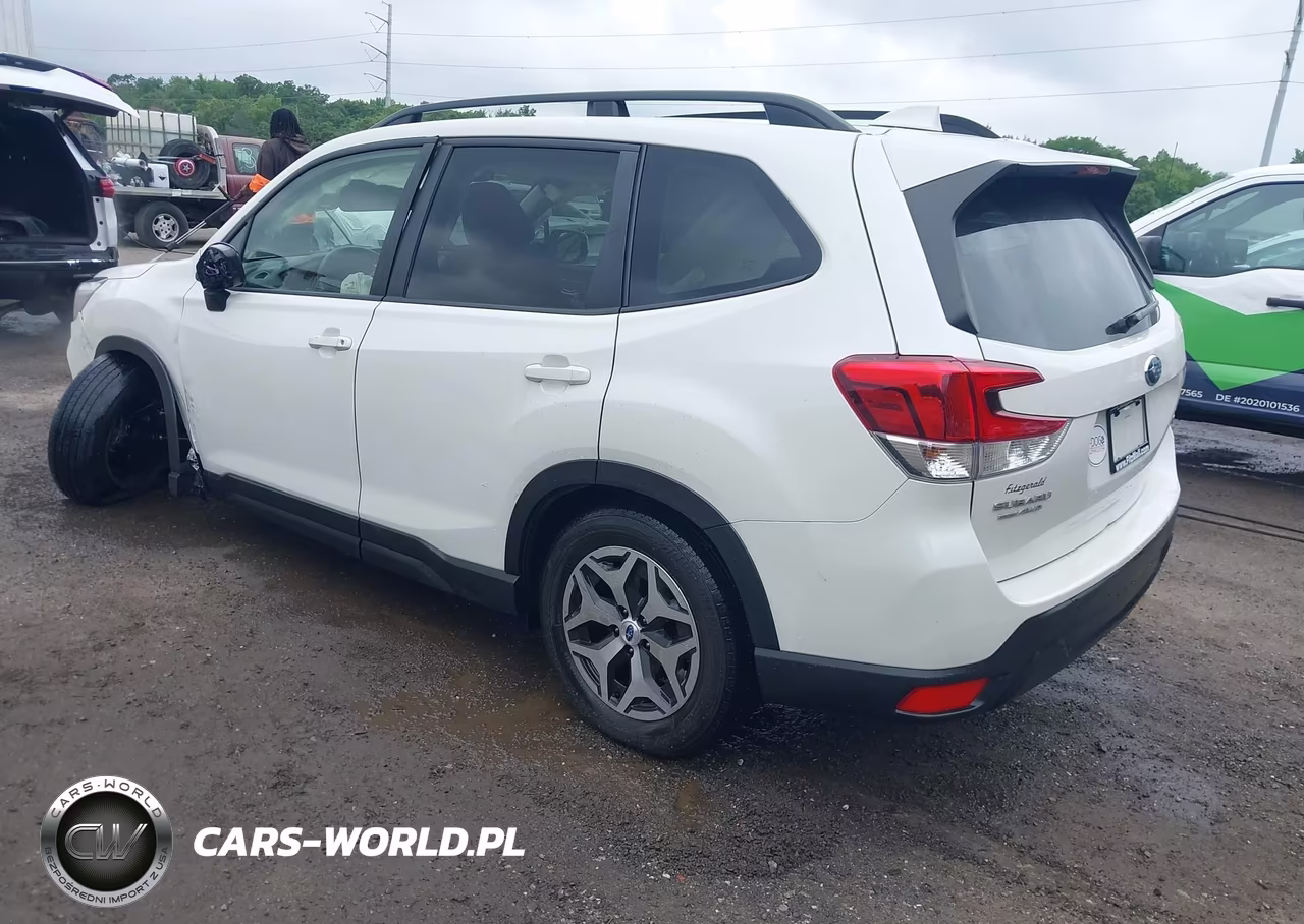 2019 Subaru Forester Premium VIN:JF2SKAGC3KH568421 - 3