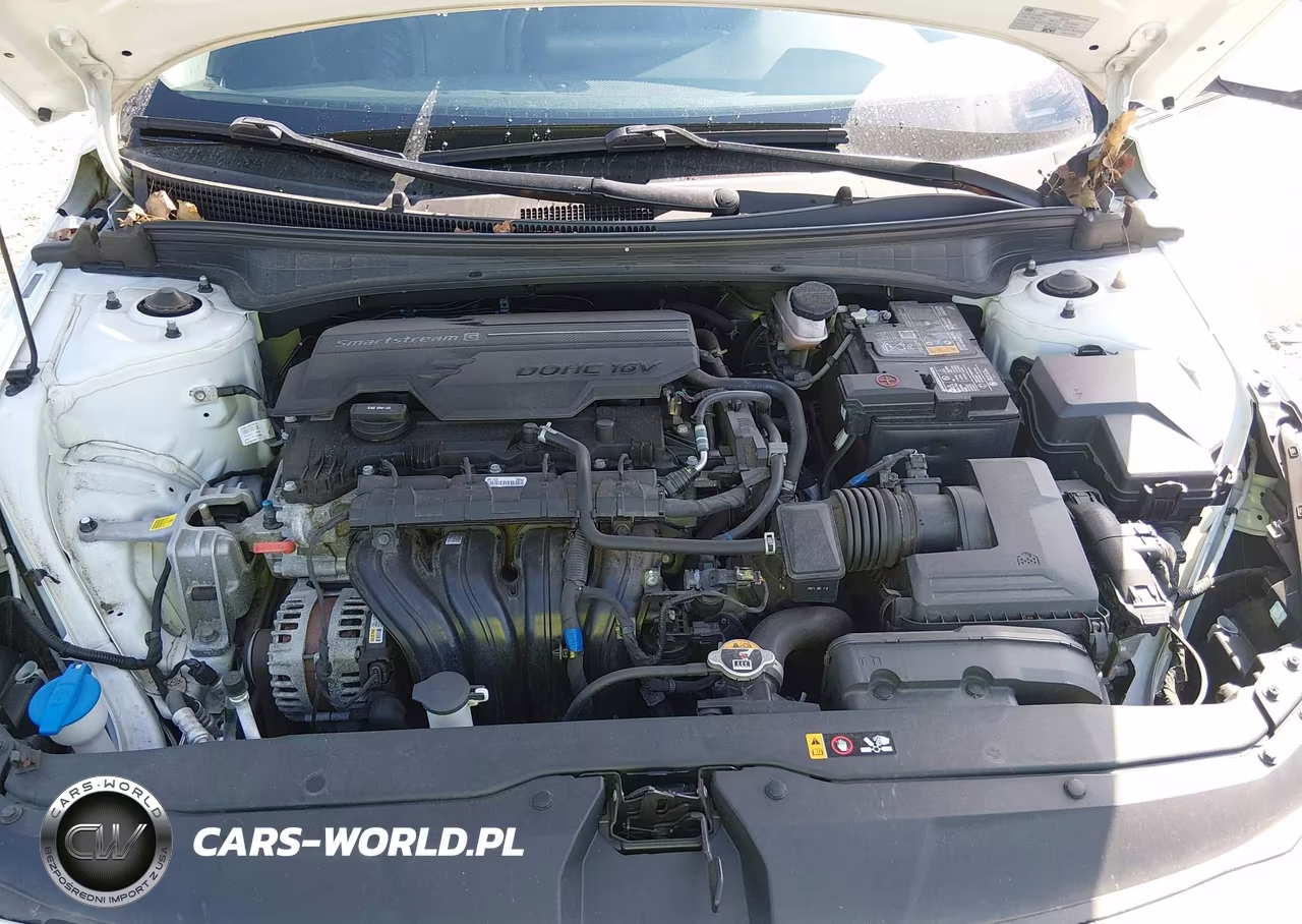 2022 Hyundai Elantra Limited VIN:5NPLP4AG8NH073994 - 10