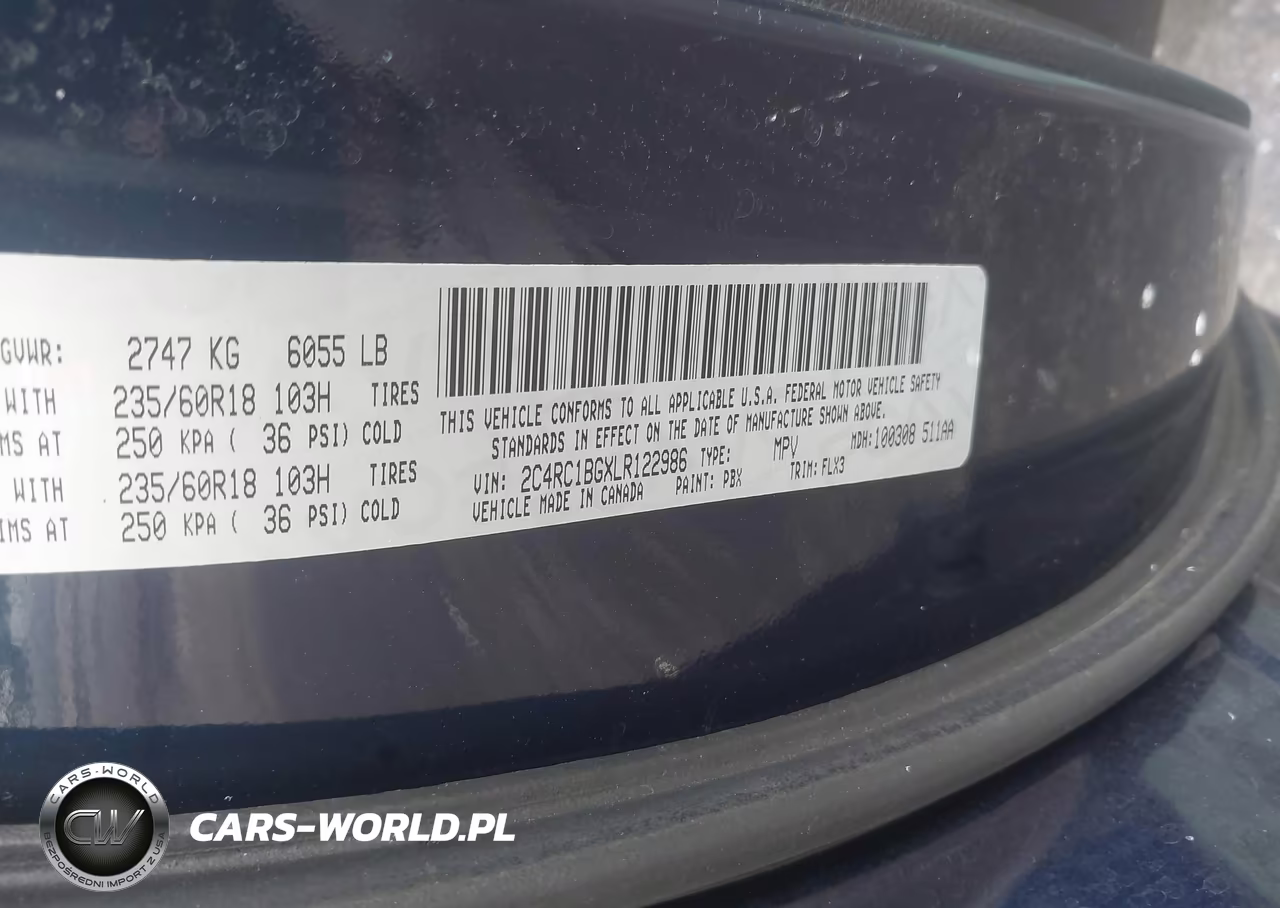 2020 Chrysler Pacifica Touring L VIN:2C4RC1BGXLR122986 - 9