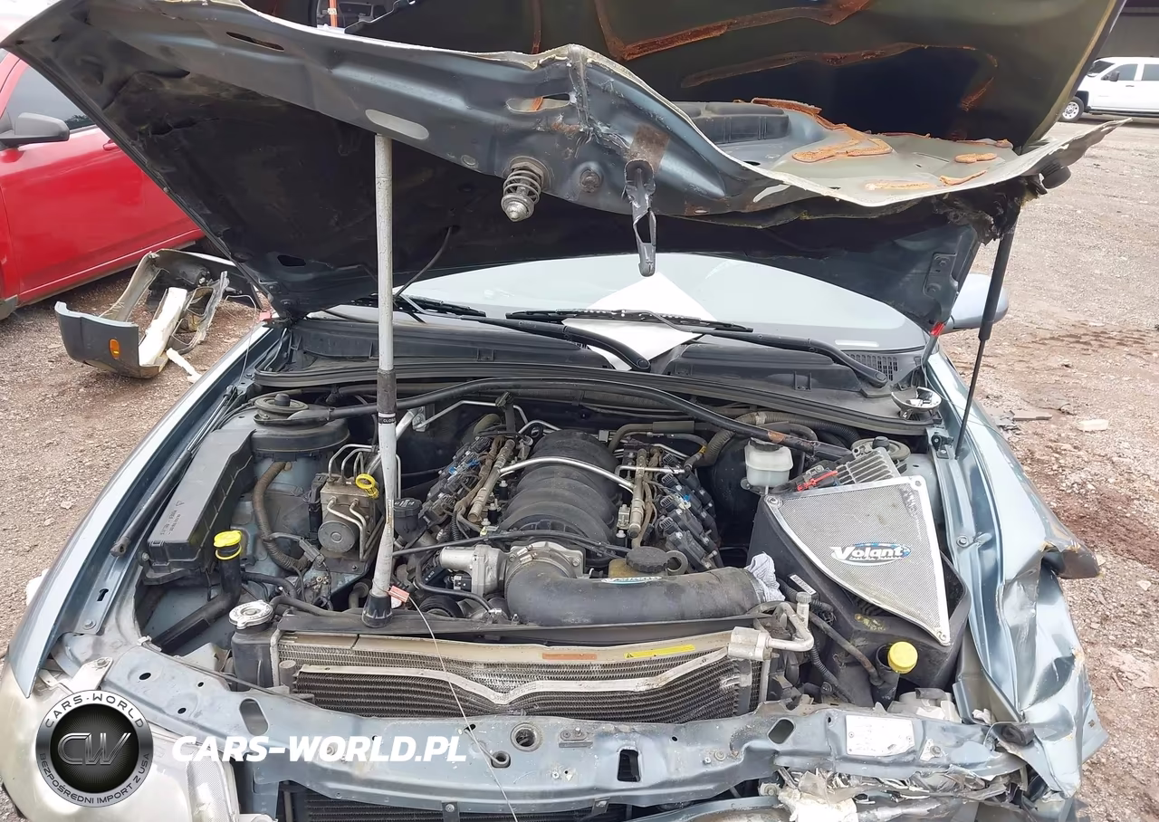 2006 Pontiac Gto VIN:6G2VX12U46L819731 - 10