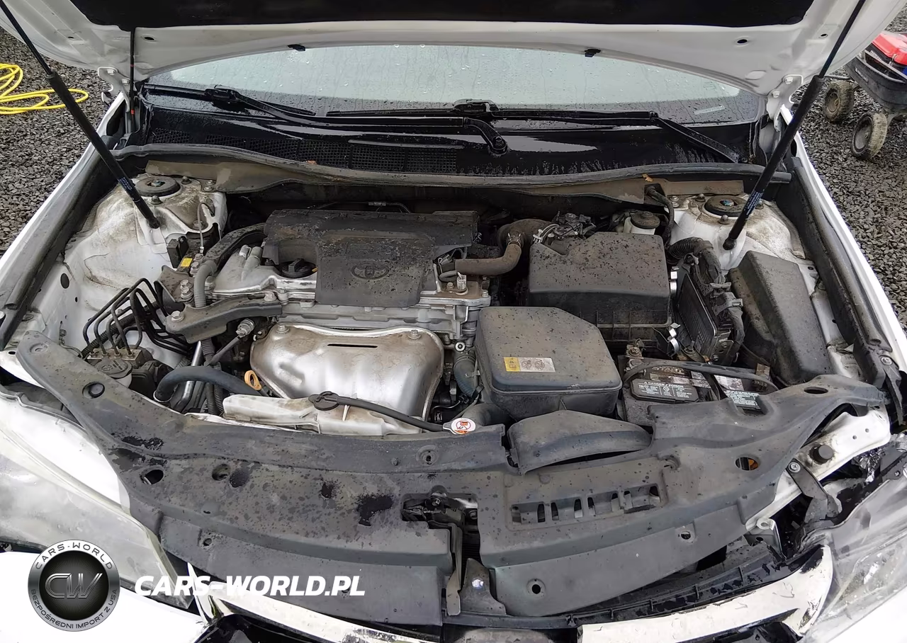 2017 Toyota Camry Se VIN:4T1BF1FK8HU432938 - 10
