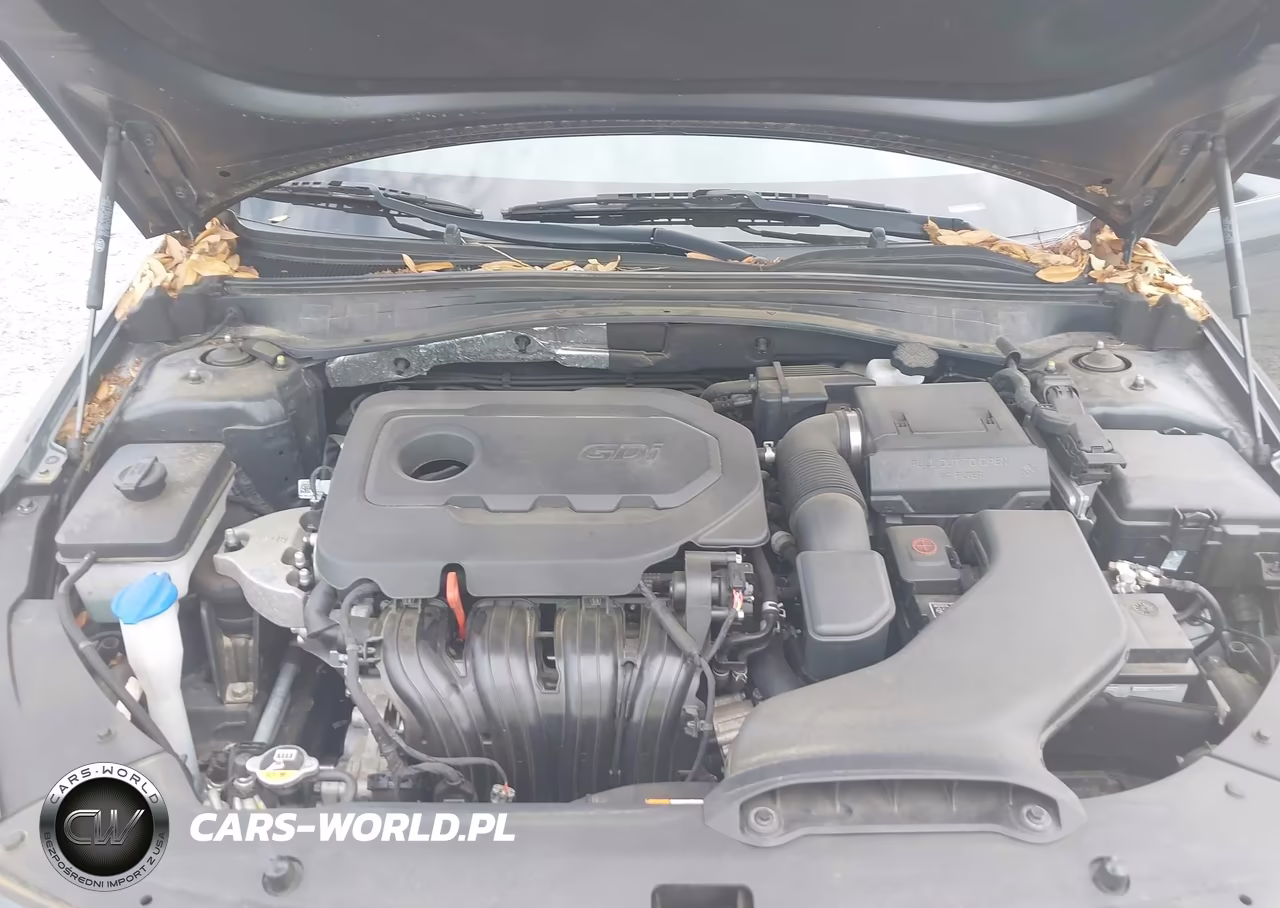 2020 Kia Optima Se VIN:5XXGT4L34LG441894 - 10