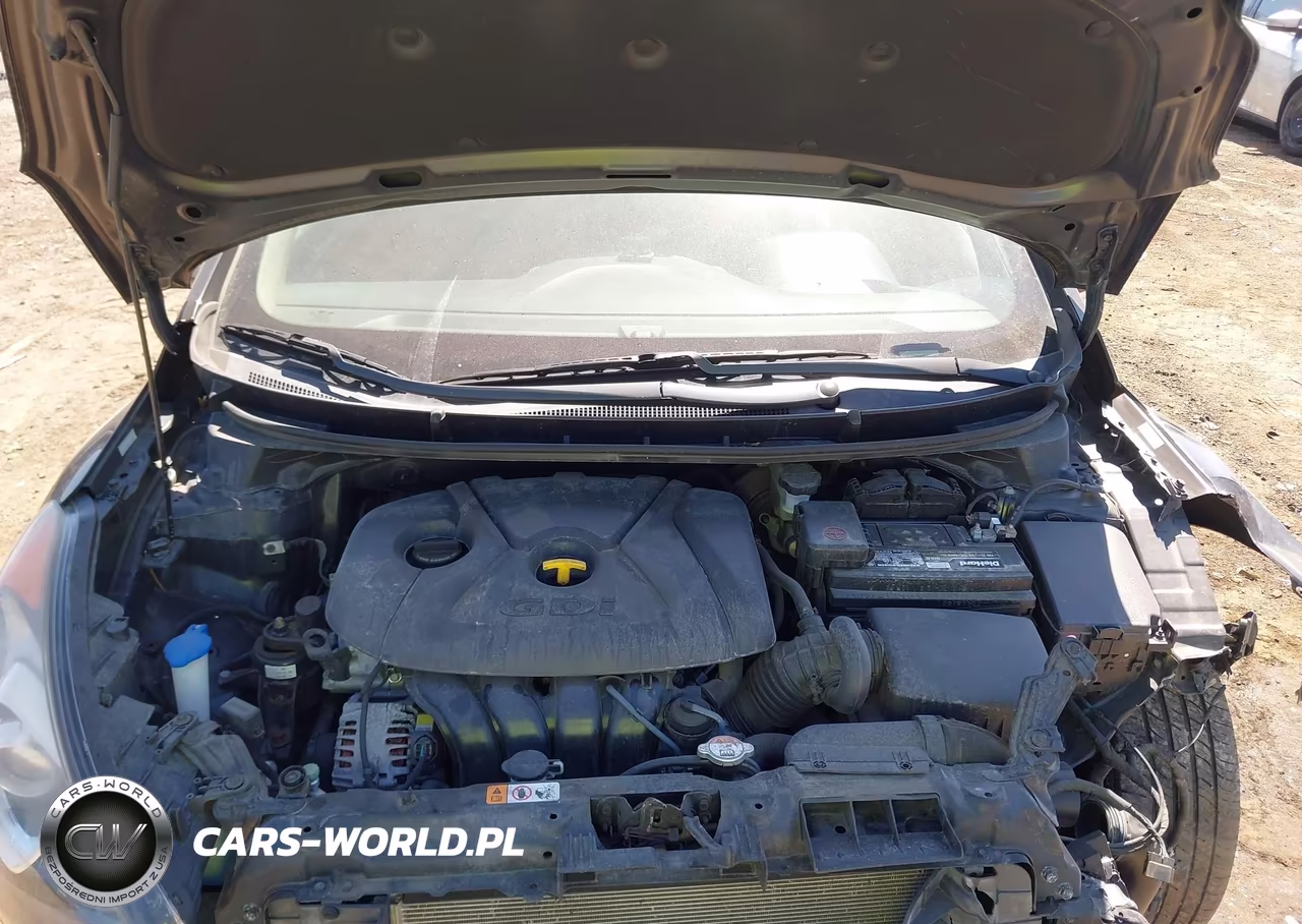 2016 Hyundai Elantra Gt VIN:KMHD35LHXGU304524 - 10