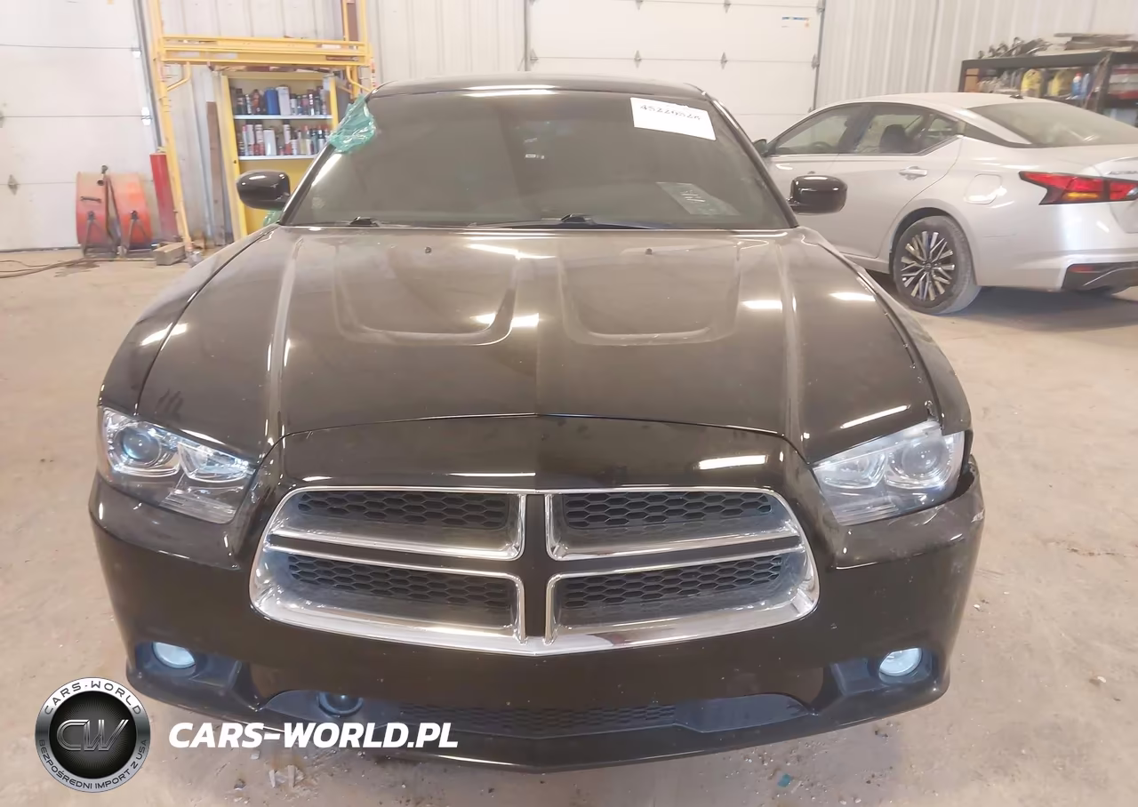 2014 Dodge Charger R-T Max VIN:2C3CDXDT3EH282947 - 12