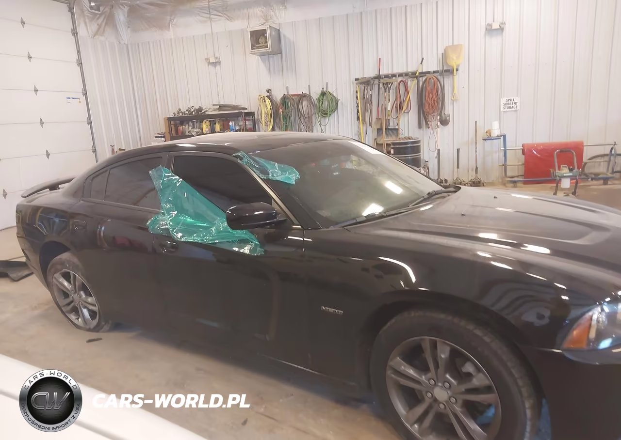 2014 Dodge Charger R-T Max VIN:2C3CDXDT3EH282947 - 13