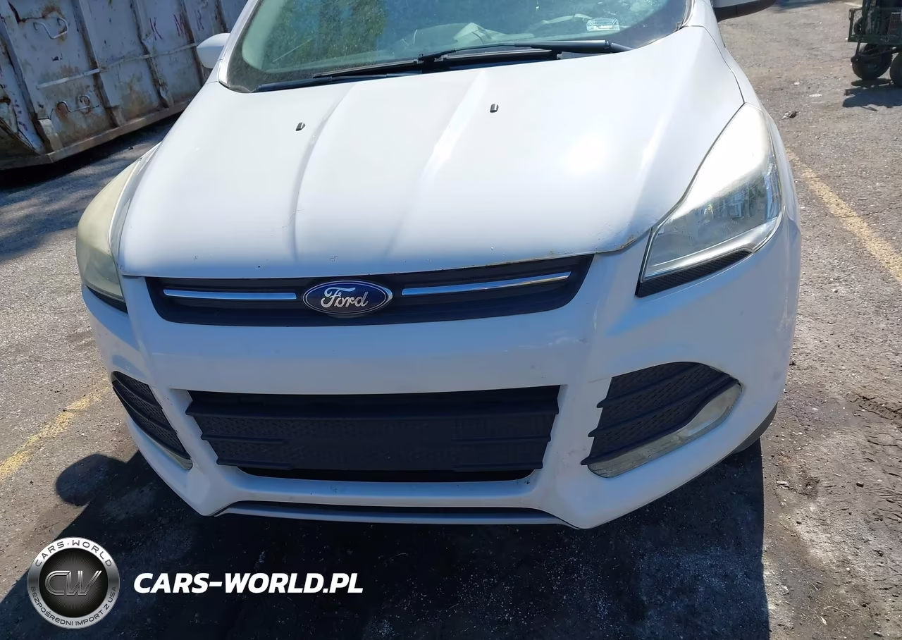 2014 Ford Escape VIN:1FMCUOGX1EUA12514 - 13