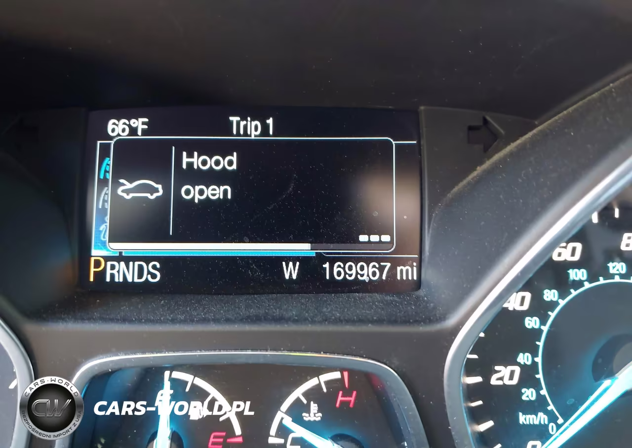 2014 Ford Escape VIN:1FMCUOGX1EUA12514 - 7