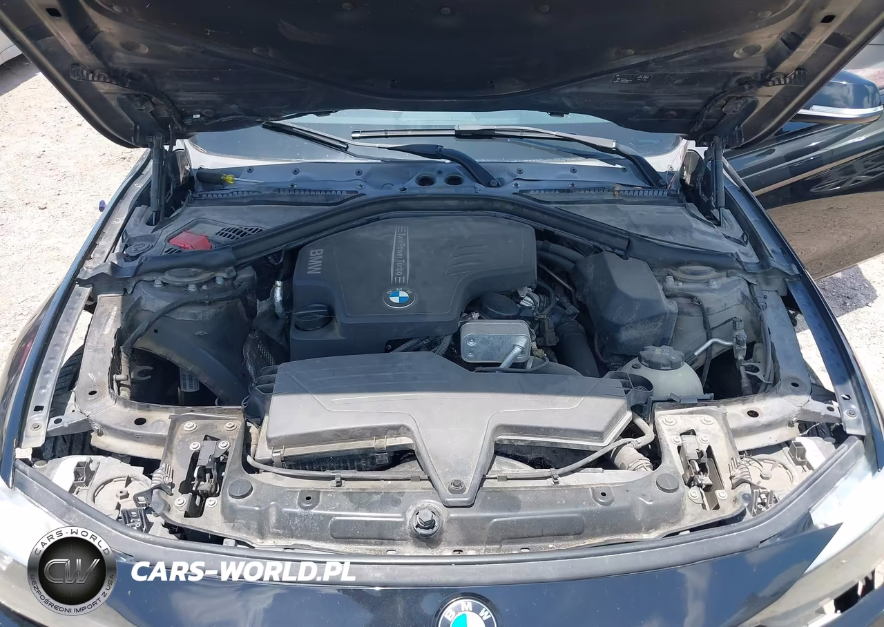 2016 BMW 320I xDrive VIN:WBA8E5G52GNT93769 - 10