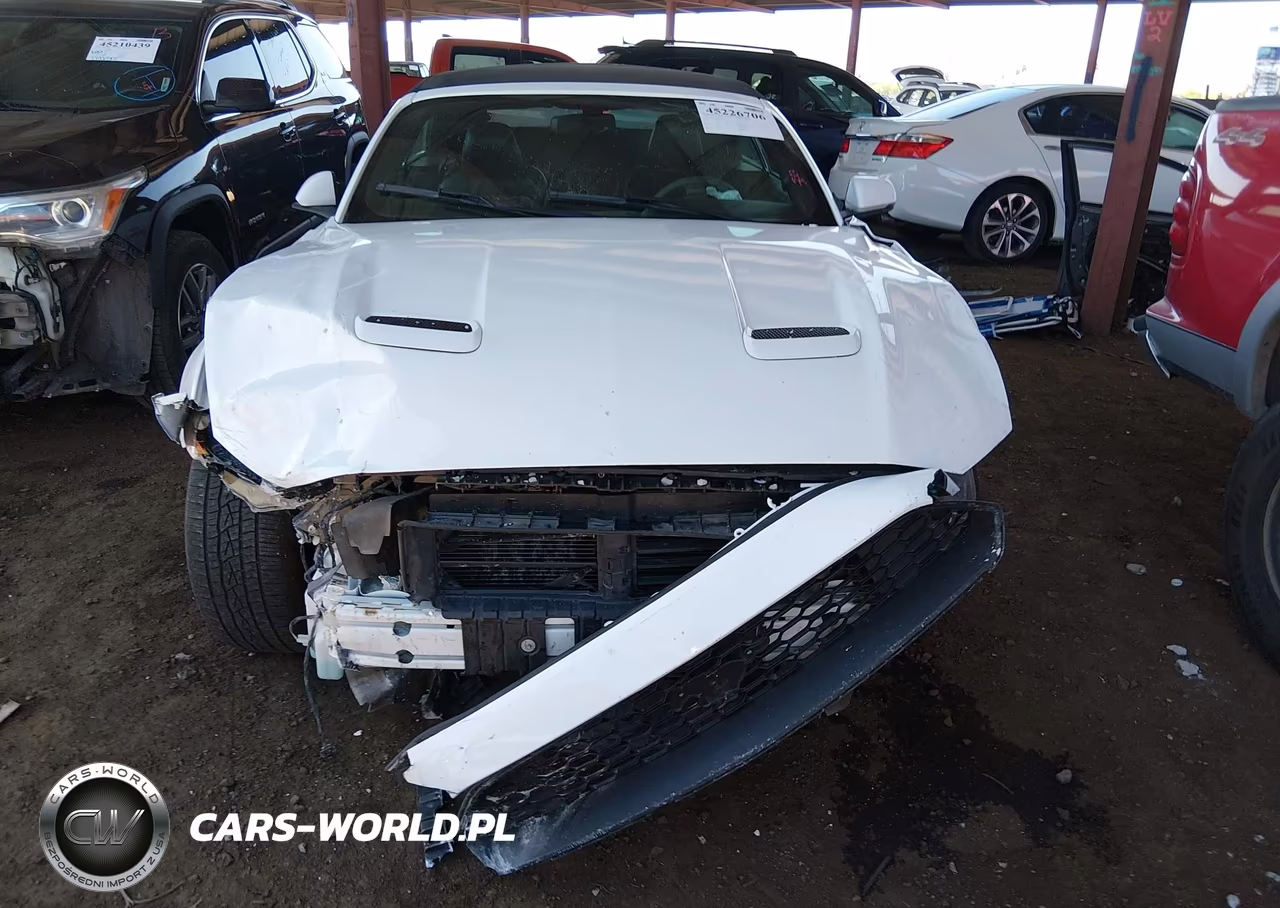2018 Ford Mustang Ecoboost Premium VIN:1FATP8UH9J5132451 - 11