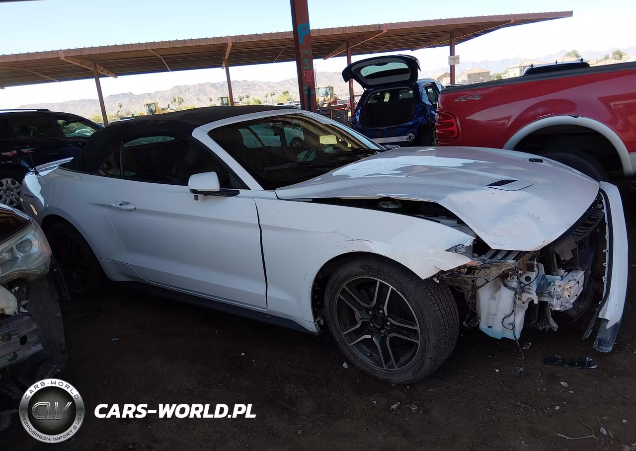 2018 Ford Mustang Ecoboost Premium VIN:1FATP8UH9J5132451 - 12