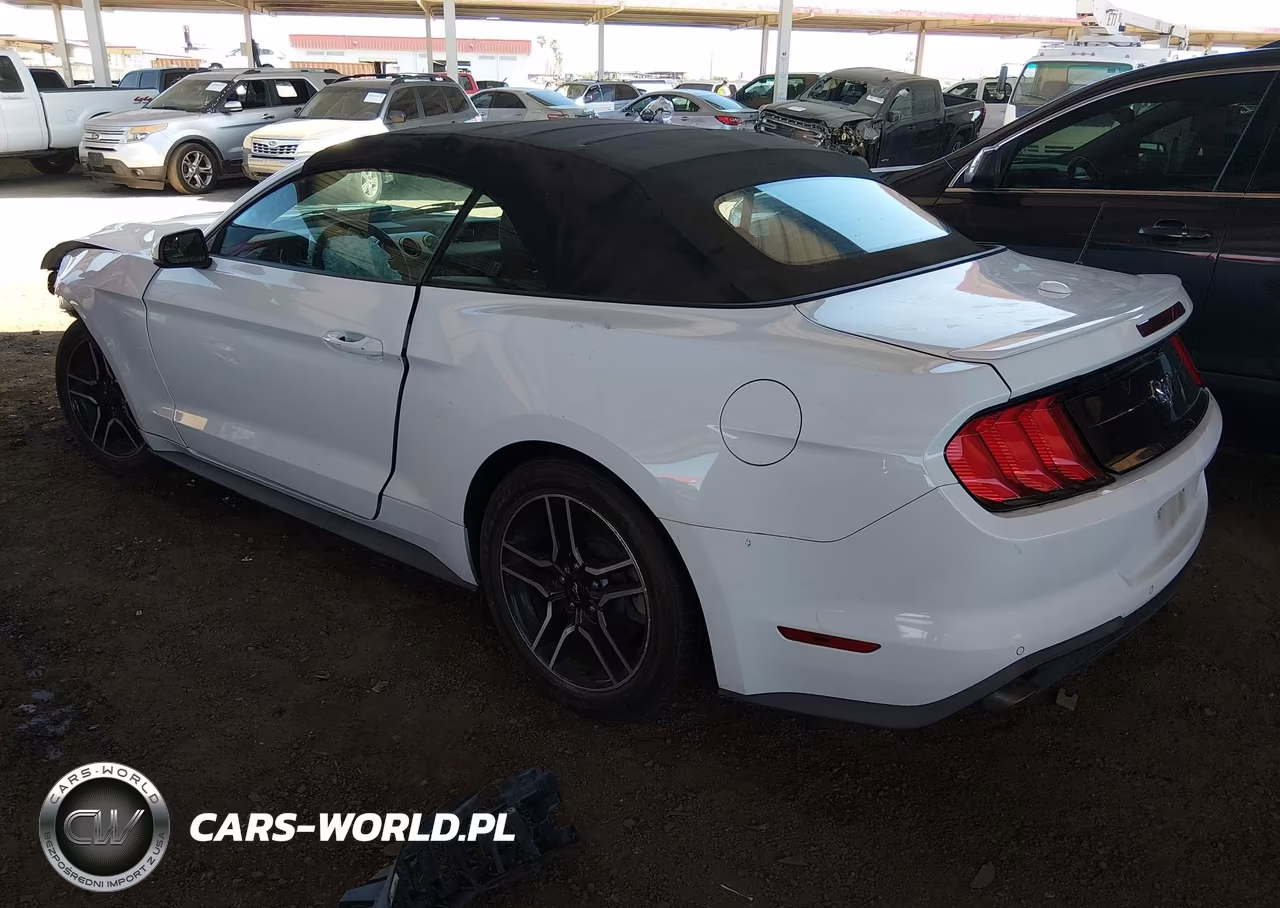 2018 Ford Mustang Ecoboost Premium VIN:1FATP8UH9J5132451 - 3