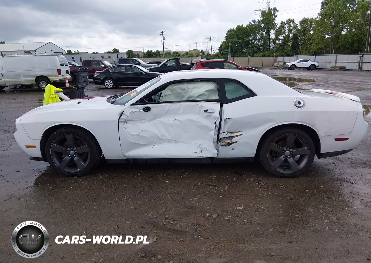2014 Dodge Challenger Rallye Redline VIN:2C3CDYAG5EH101084 - 14