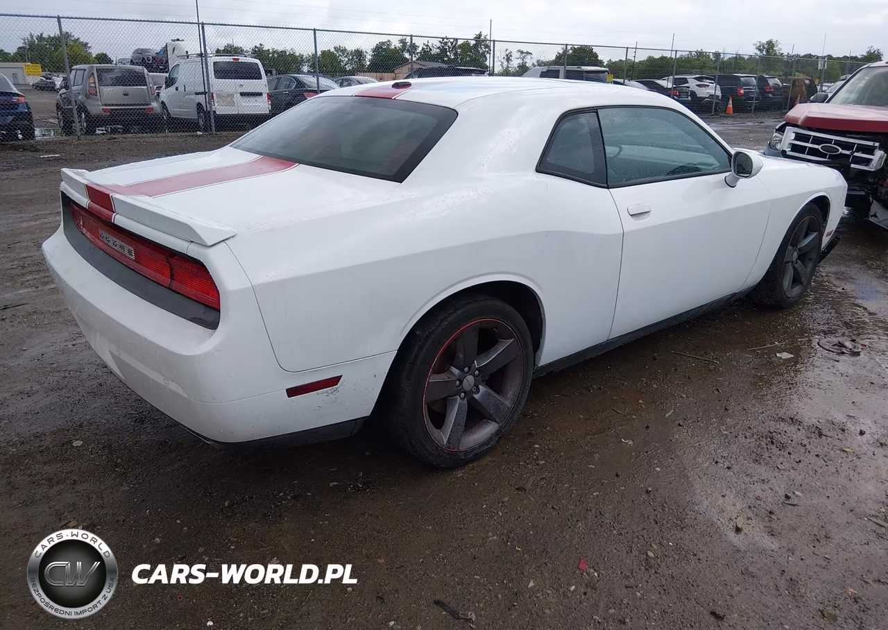 2014 Dodge Challenger Rallye Redline VIN:2C3CDYAG5EH101084 - 4
