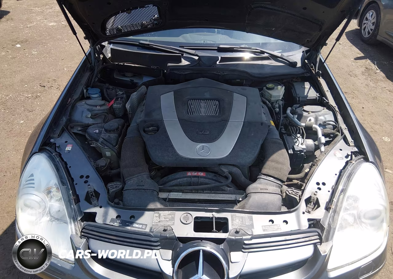 2006 Mercedes-Benz Slk 350 VIN:WDBWK56F36F124992 - 10