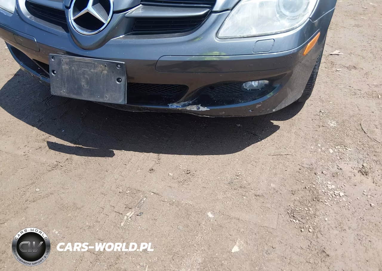 2006 Mercedes-Benz Slk 350 VIN:WDBWK56F36F124992 - 19