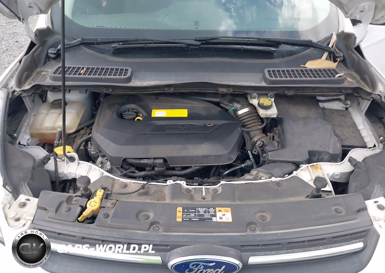 2016 Ford Escape Se VIN:1FMCU0GX8GUC18741 - 10