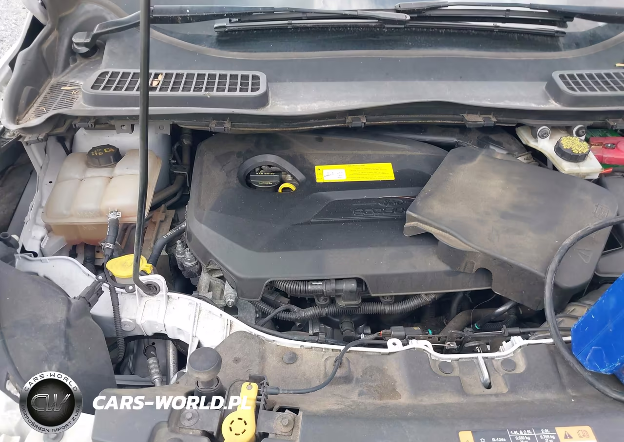 2016 Ford Escape Se VIN:1FMCU0GX8GUC18741 - 6