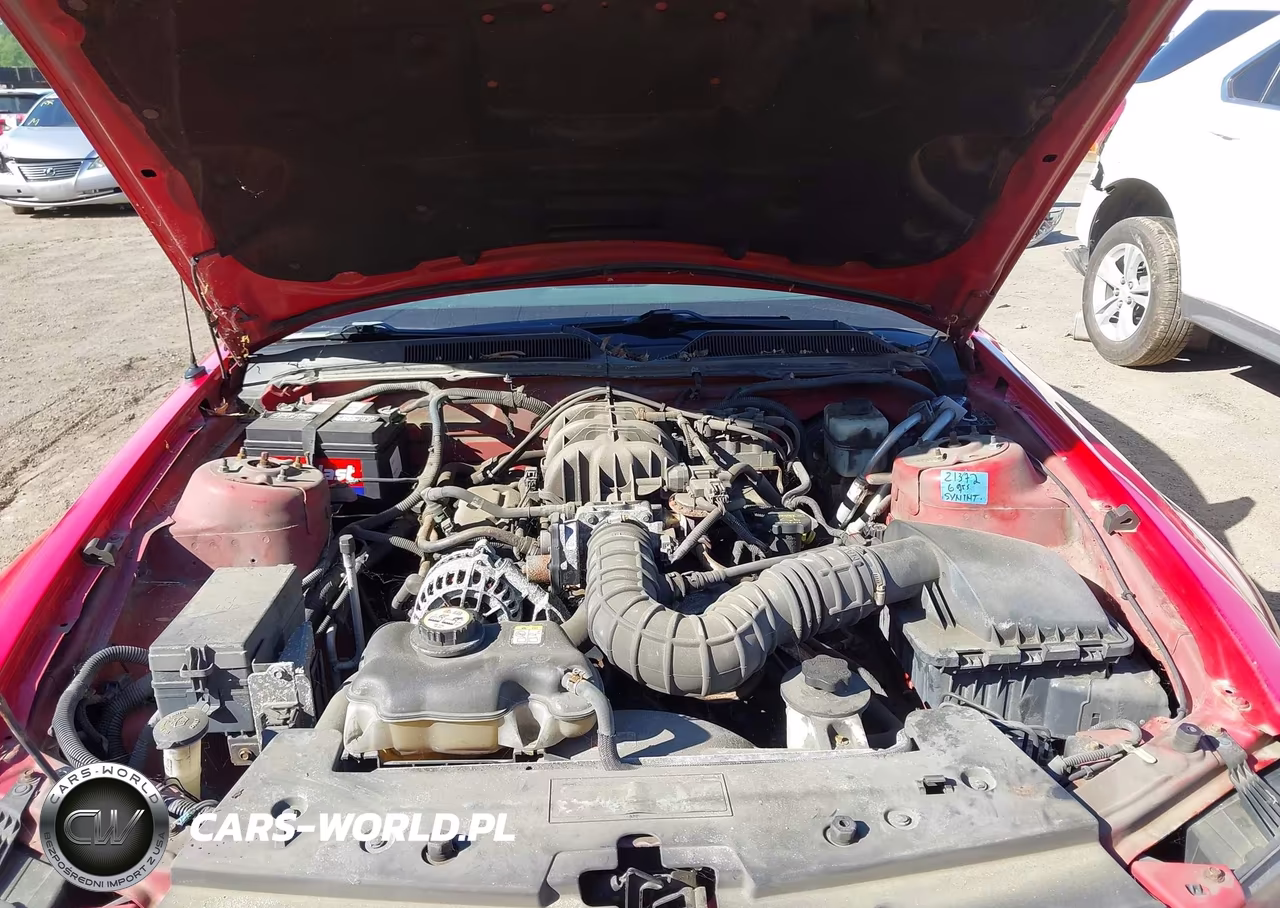 2008 Ford Mustang V6 Deluxe-V6 Premium VIN:1ZVHT80N185207349 - 10