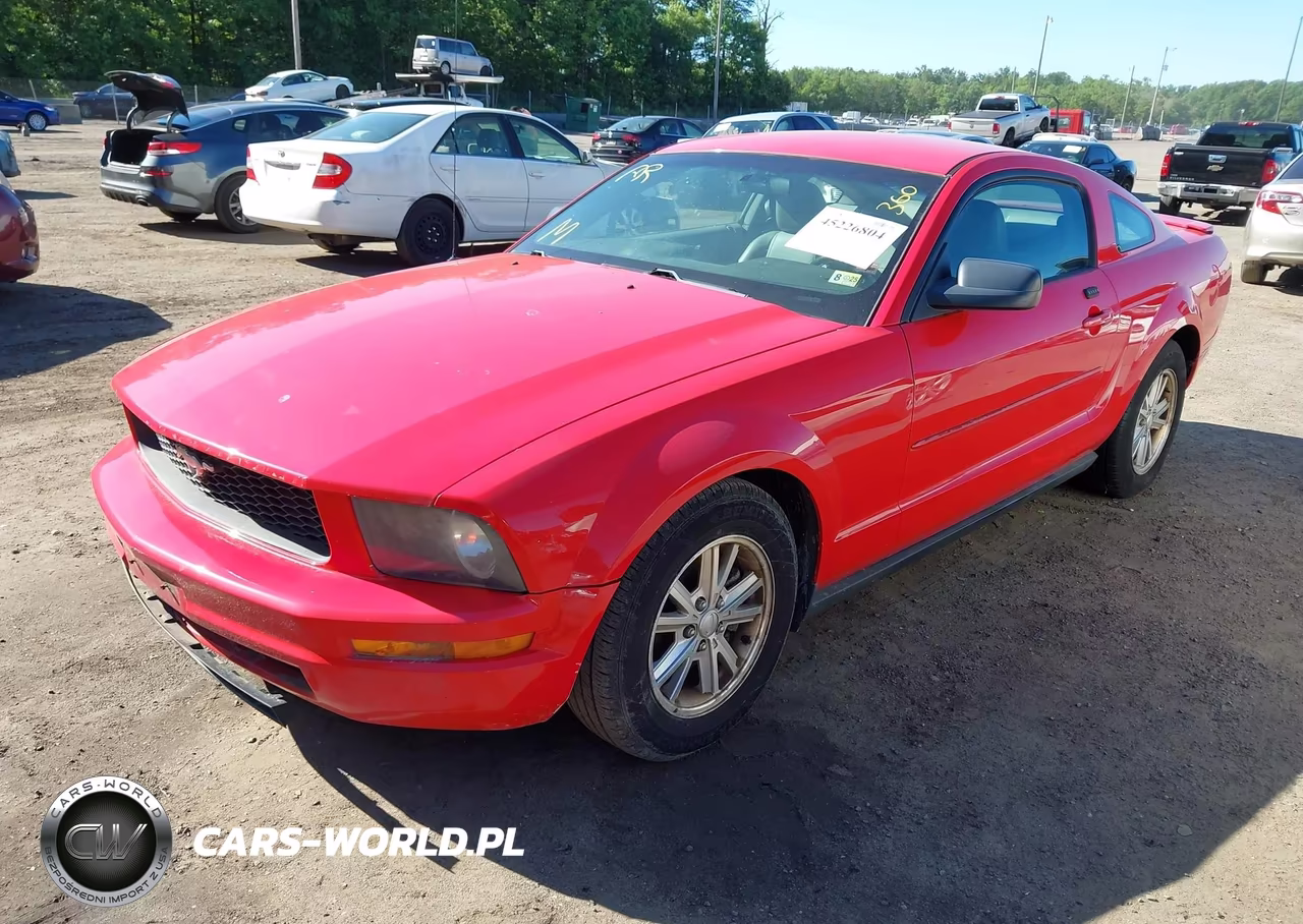 2008 Ford Mustang V6 Deluxe-V6 Premium VIN:1ZVHT80N185207349 - 2