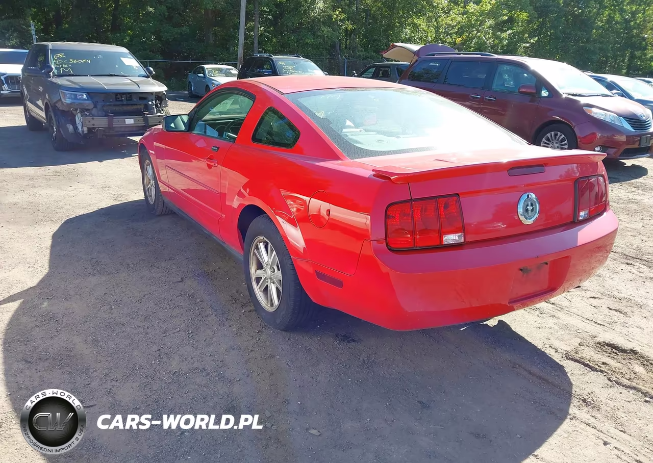 2008 Ford Mustang V6 Deluxe-V6 Premium VIN:1ZVHT80N185207349 - 3