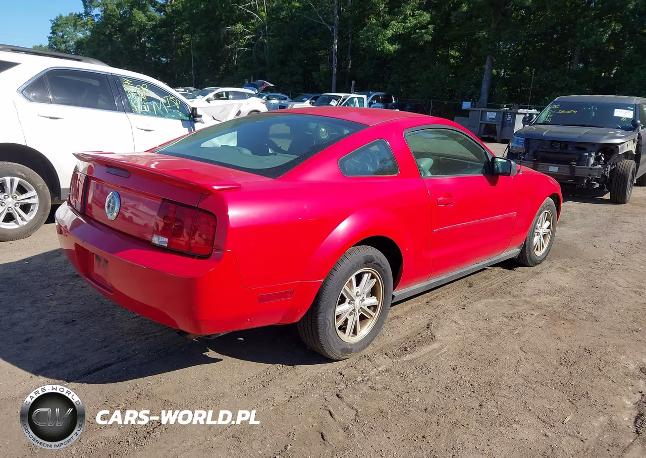 2008 Ford Mustang V6 Deluxe-V6 Premium VIN:1ZVHT80N185207349 - 4