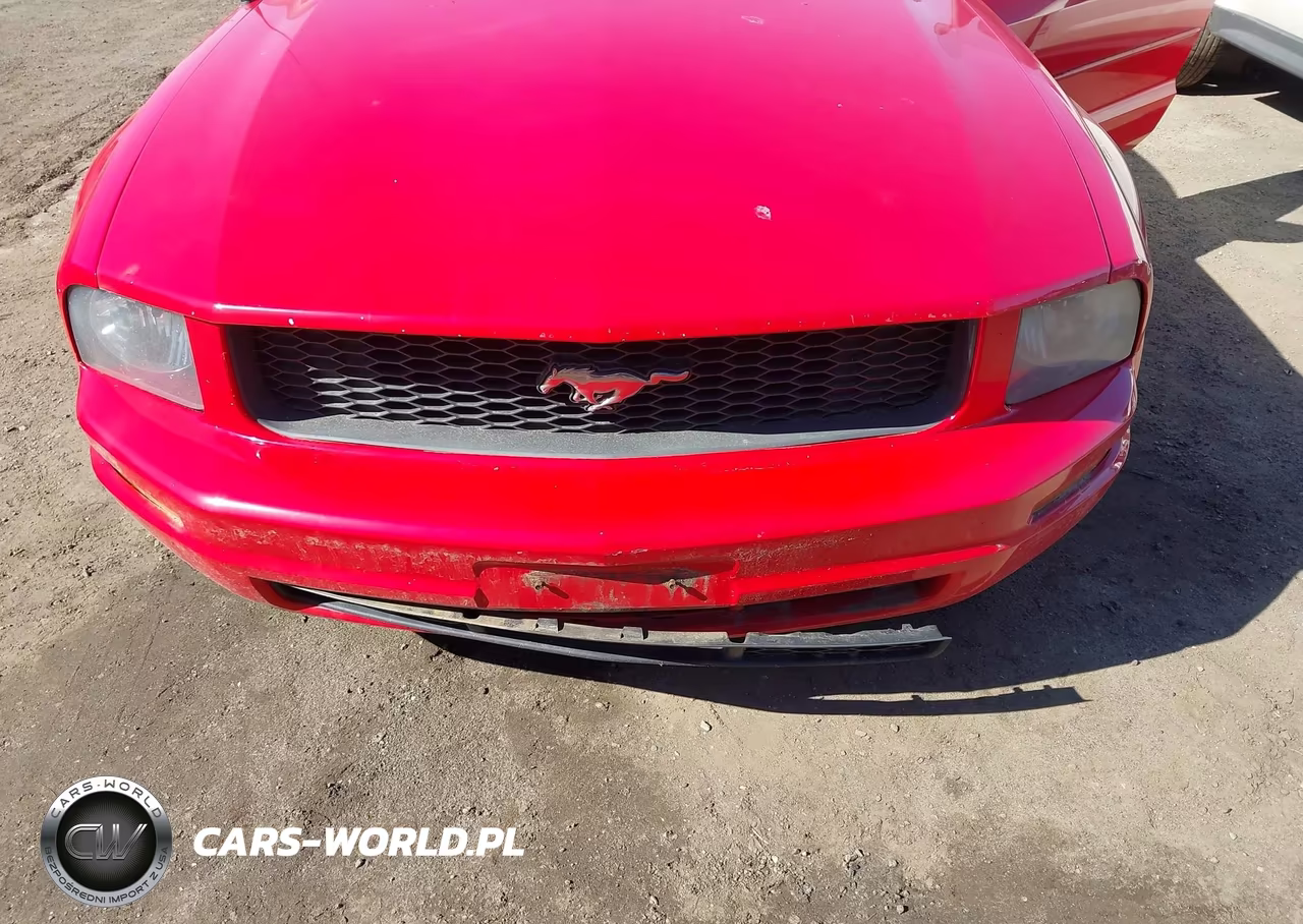 2008 Ford Mustang V6 Deluxe-V6 Premium VIN:1ZVHT80N185207349 - 6