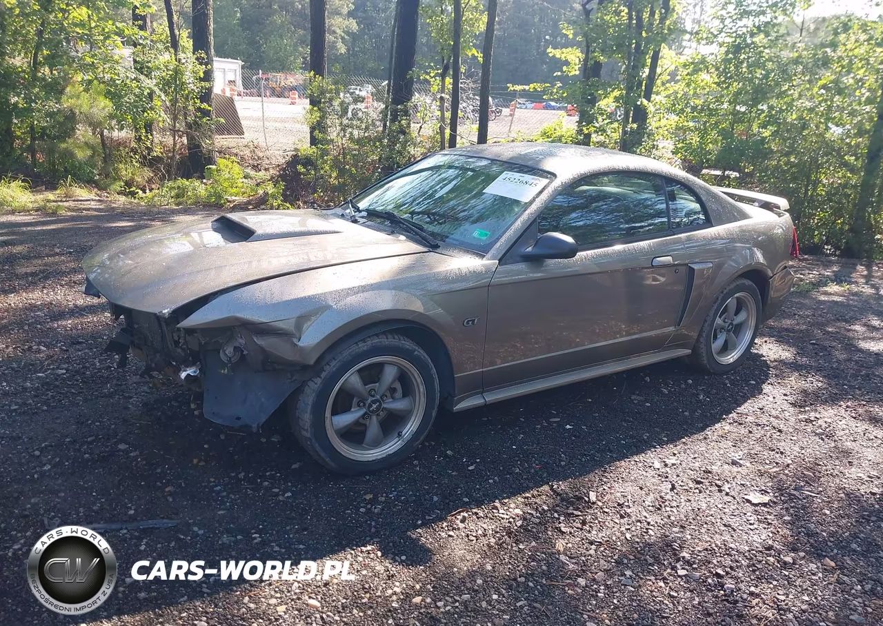 2002 Ford Mustang Gt VIN:1FAFP42X22F236999 - 2