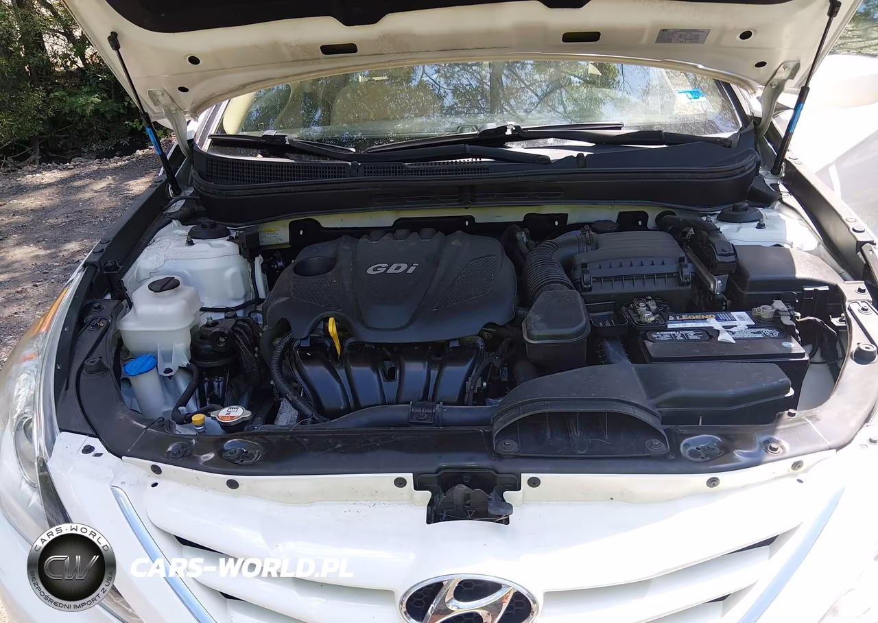 2013 Hyundai Sonata Gls VIN:5NPEB4AC4DH773692 - 10