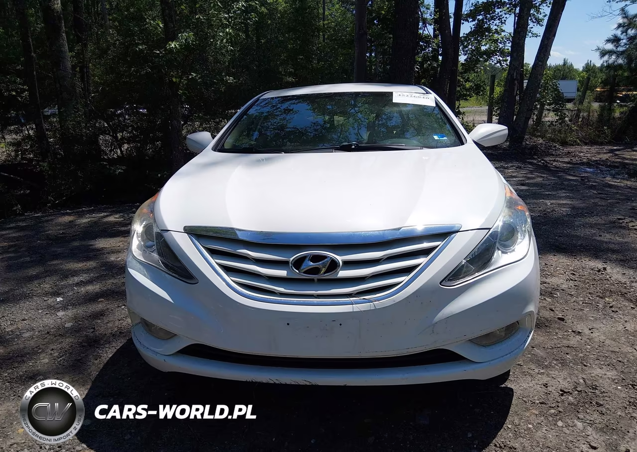 2013 Hyundai Sonata Gls VIN:5NPEB4AC4DH773692 - 12