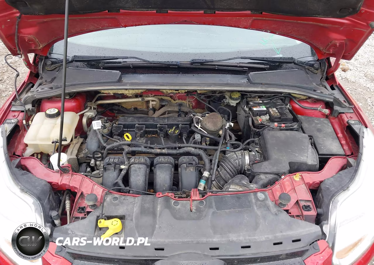 2012 Ford Focus Sel VIN:1FAHP3M21CL429166 - 10