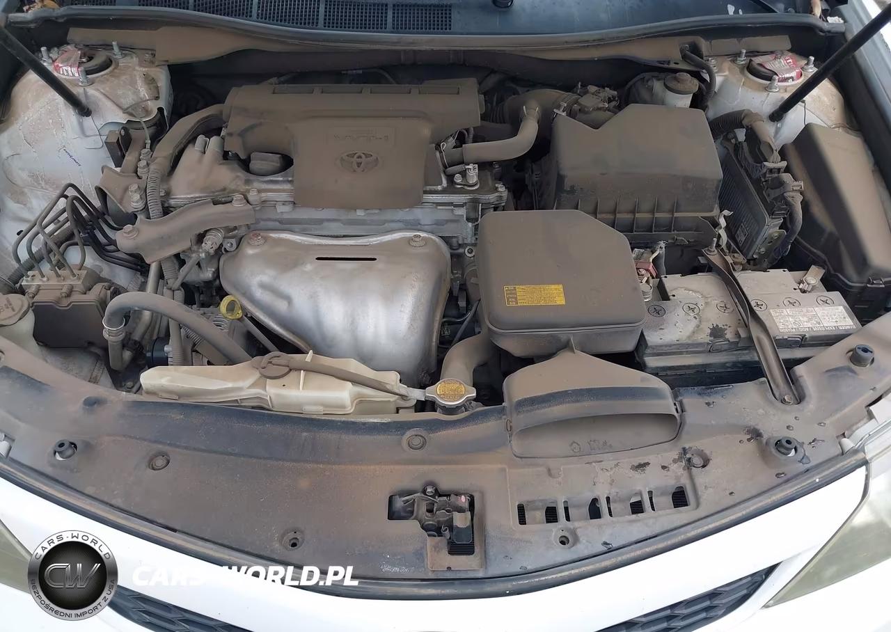 2014 Toyota Camry Se VIN:4T1BF1FK2EU302844 - 10