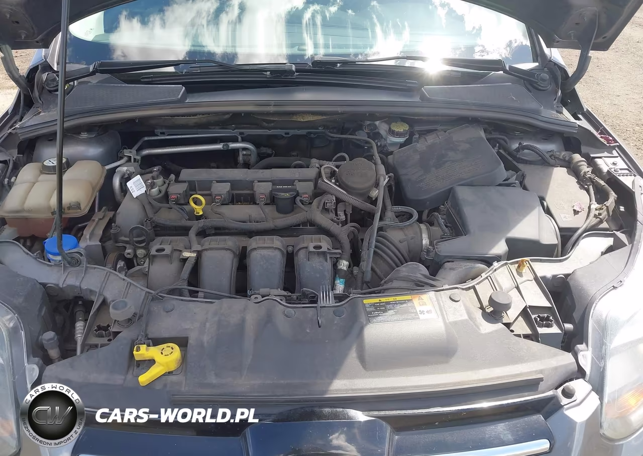 2013 Ford Focus Titanium VIN:1FADP3N27DL119926 - 10