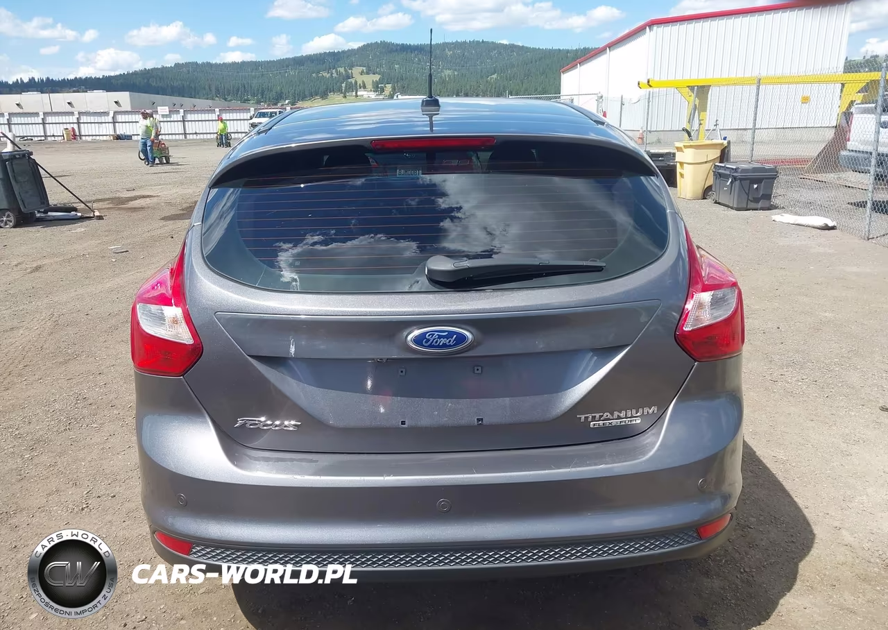 2013 Ford Focus Titanium VIN:1FADP3N27DL119926 - 16