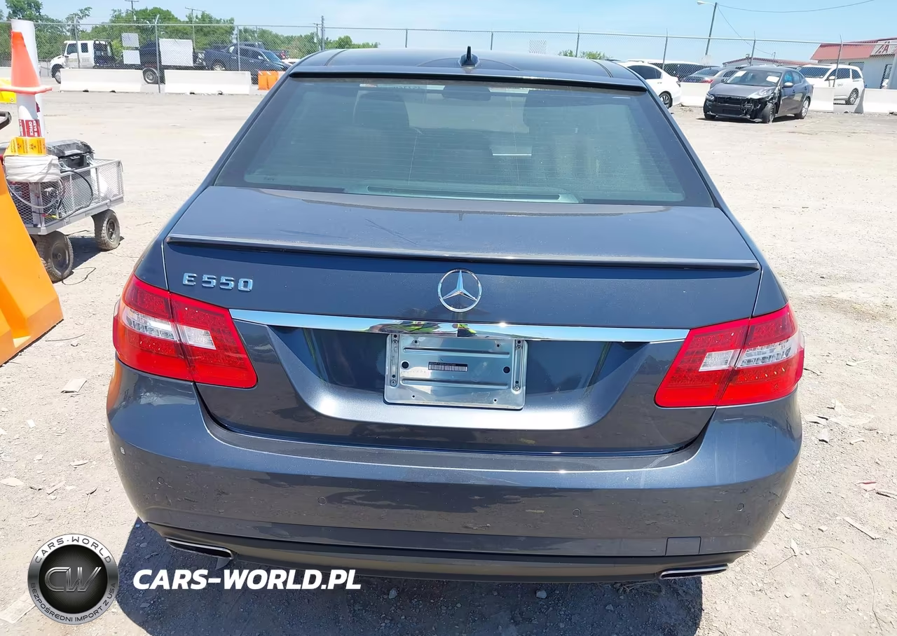 2010 Mercedes-Benz E 550 VIN:WDDHF7CB8AA027049 - 16