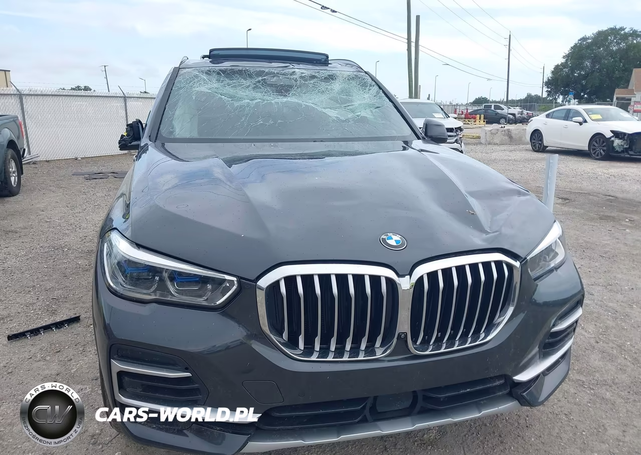 2022 BMW X5 xDrive40I VIN:5UXCR6C07N9J38301 - 12