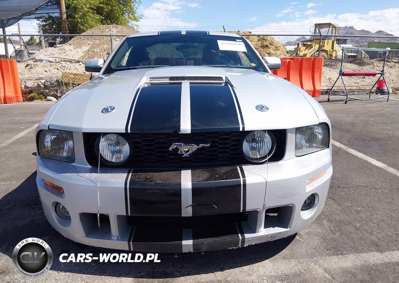 2006 Ford Mustang Gt VIN:1ZVHT82H365221919 - 13