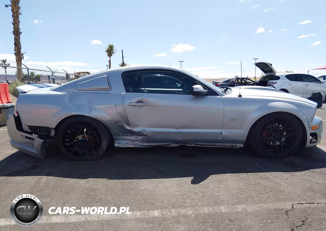 2006 Ford Mustang Gt VIN:1ZVHT82H365221919 - 14